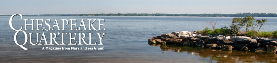 Chesapeake Quarterly Online logo in front of a wetland
