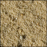 sand - photo by Sandy Rodgers