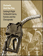 Biofuels And The Bay