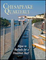 issue cover - river of 0pportunity