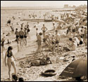 Beverly Beach