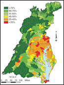 forest coverage map - by Stephen Prince 