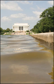 Reflecting pool near the Lincoln Memorial by Michael W. Fincham
