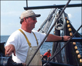 Rogers and his crew haul in a net full of menhaden by Harold Anderson for the Smithsonian Center for Folklife and Cultural Heritage