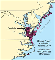 Omega protein menhaden sets, 2010. Source: Joseph Smith, National Marine Fisheries Service.