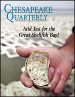 issue cover. Photograph by Michael W. Fincham.