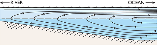 Prichard's etuarine circulation diagram
