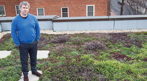 Cliff Notarius on a green roof
