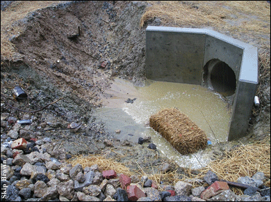 storm drain in Anne Arundel County - photo by Jack Greer
